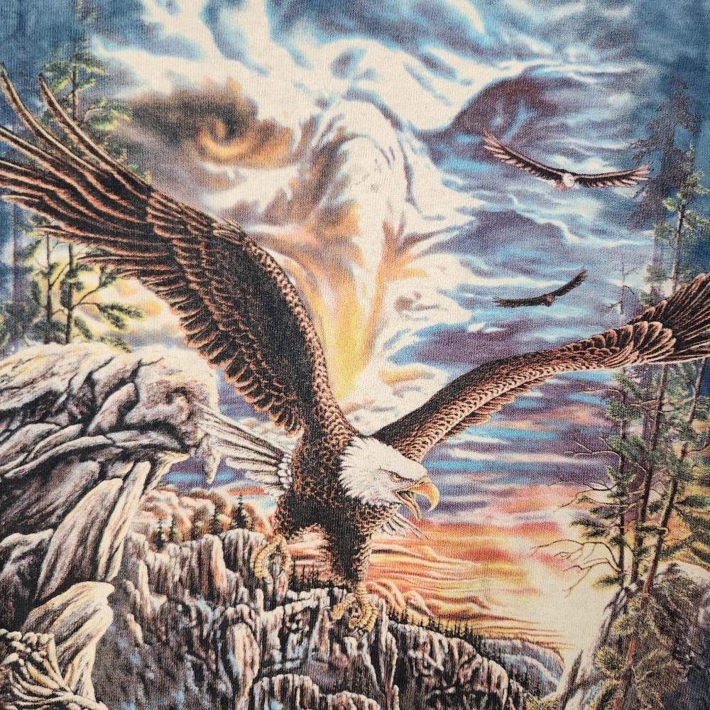 The Mountain Blue Tie-Dye Eagle T-Shirt Kids Boys Girls Large Outdoors Hiking - Picture 3 of 10